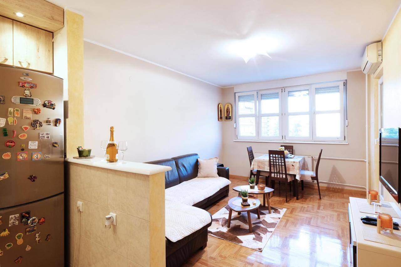 Sky City View Apartment & Big Terrace Belgrád Kültér fotó